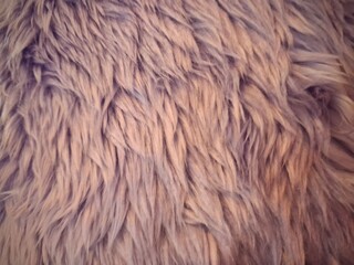 Light purple background image of synthetic fur coat.