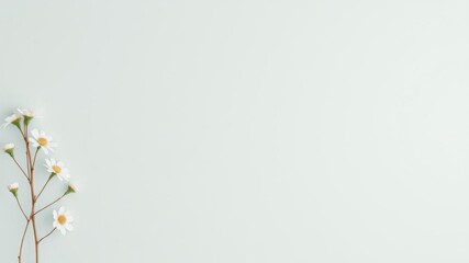 Obraz premium White frame with colorful flowers on neutral background, minimalist, blank space, simplicity