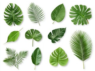 Modern Architecture: Simple Curves and a Wooden Door