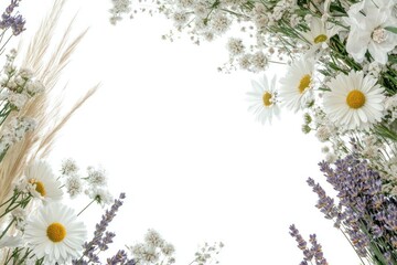 Fototapeta premium A rustic floral wedding frame with wildflowers like chamomile, daisies, and lavender, accented with pampas grass, on a white background