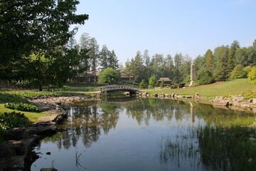 Obraz premium pond in the park
