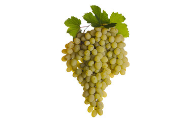 a bunch of white grapes with leaves