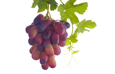 Red grapes on a white background