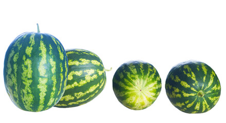 there are several watermelons