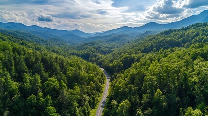 Fototapeta premium Scenic Smoky Mountains Road: Aerial View of Lush Forest and Rolling Hills. AI Generated