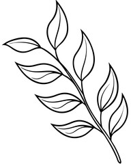 Botanical branche with slender leaves line art  vector illustration 