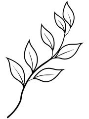 Botanical branche with slender leaves line art  vector illustration 