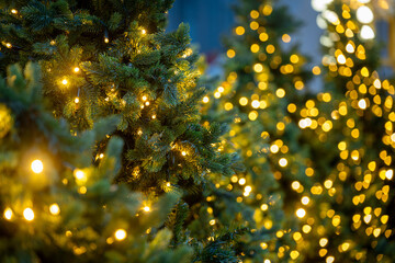 Christmas trees with golden decorative lights 