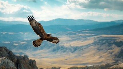 Obraz premium A bird of prey soaring above a vast landscape, capturing the wild beauty of untamed nature