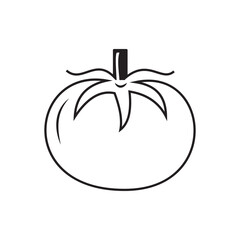 Tomato vector image. isolate on white background.