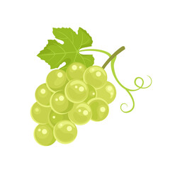 Bunch of green grape with leaf isolated on white background. Vector cartoon flat illustration. Fruit icon.