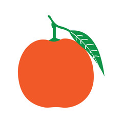 Orange vector illustration, icon.
