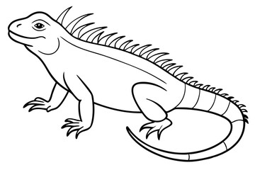 Line art of an iguana. Vector illustration 