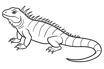 Line art of an iguana. Vector illustration 