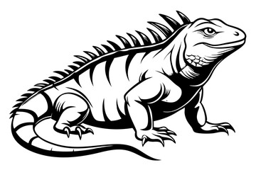 Iguana silhouette Vector illustration 