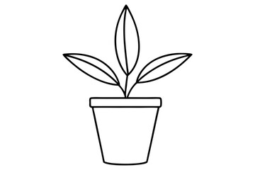 Simple Potted Plant Vector Line Art Design