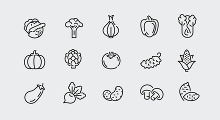 Vegetable icons. Set of 15 vegetable trendy minimal icons. Example: Celery, Mushroom, Tomato, Carrot, Pepper icon. Design signs for web page, mobile app, packaging design. Vector illustration