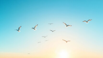 Obraz premium A flock of birds soaring across a clear blue sky, the sun setting in the distance