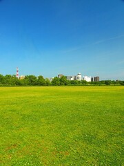 草原のある初夏の江戸川河川敷風景