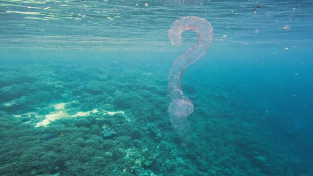 Underwater shot of a large, translucent question mark-shaped pyrosome floating near the surface. The clear blue water and coral reef below create a surreal and mysterious atmosphere.