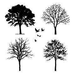 Silhouette of Trees Vector Outlines Four Seasons With Birds for Architecture and Design 