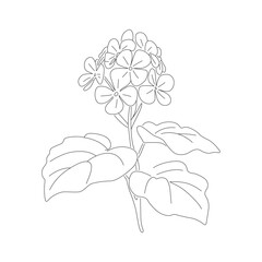 Violet flower line art vector illustration
