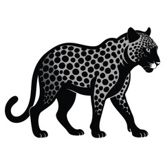 leopard on a white background