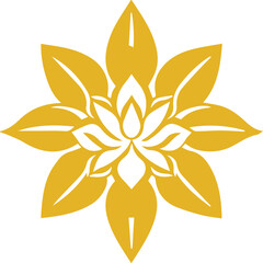 Beautiful flower art and mandala vector design