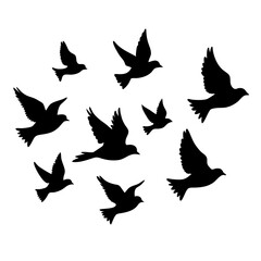 Fototapeta premium Flying bird vector art. Birds icon silhouette art, Animal bird Elements illustration