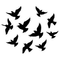 Fototapeta premium Flying bird vector art design. Birds icon silhouette art, Animal birds Elements illustration