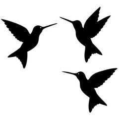 Obraz premium Flying birds design art vectors. Birds flying Silhouette, Animal birds elements illustration