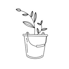A plant is in a bucket
