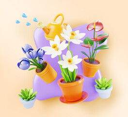 Spring 3d background with flowers in pots and watering can with water drops render. Flying tulip, narcissus, anthurium in flowerpot, vase. Floral house plants, home garden care banner. 3D illustration