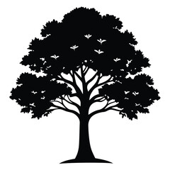 Fototapeta premium silhouette of a tree