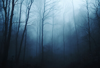 A dense, misty forest with tall, bare trees shrouded in fog