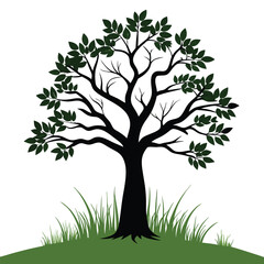 Obraz premium tree with green leaves