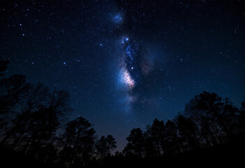 A night sky with the Milky Way galaxy visible, with silhouetted trees in the foreground against a dark blue background