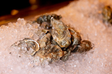 Fresh opened oyster offered as top view on crushed ice 