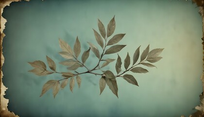 Clear Plain Shiny Warm Soft Vintage Bokeh Cloudy Wave Like Geometric Blue Background or Texture