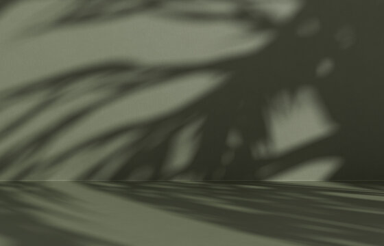 Cement studio room background with branch shadows on the wall. Mockup for branding products, presentation and health care.