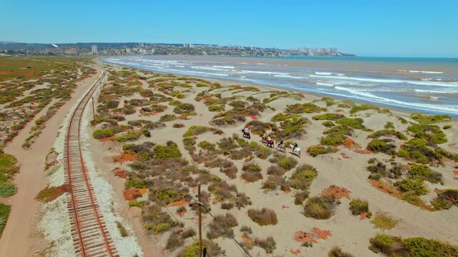 Aerial drone fly Horses riding at Piedra Beach, Dune Landscape of Ritoque Chile
