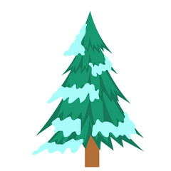 Pine Tree with Snow Illustration