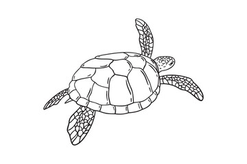 Stripes sea turtle swimming. realistic sea turtle doodle hand drawn isolated line black icon 