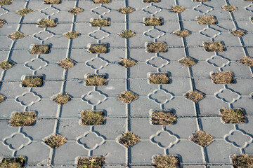 An ornamental paved surface with a grid-like repeating pattern of gray stones or pavers, each with a gap filled with grass.