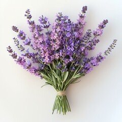 Fototapeta premium A wedding bouquet with lavender on white clean background.