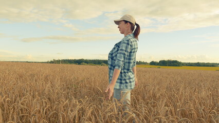Woman Professional Agronomist Inspecting golden Farmland At Sunset. Agriculture Concept. Ecological...