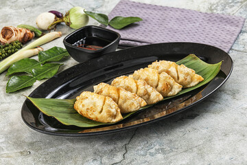 Japanese cuisine - stuffed dumplings gyoza