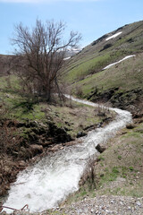 River in the mountains, early spring