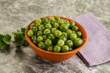 Ripe sweeet and juicy gooseberry