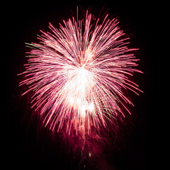 Fototapeta premium Colorful celebration fireworks isolated on a black sky background.